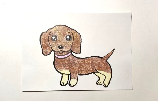 Рисунки собак фломастерами