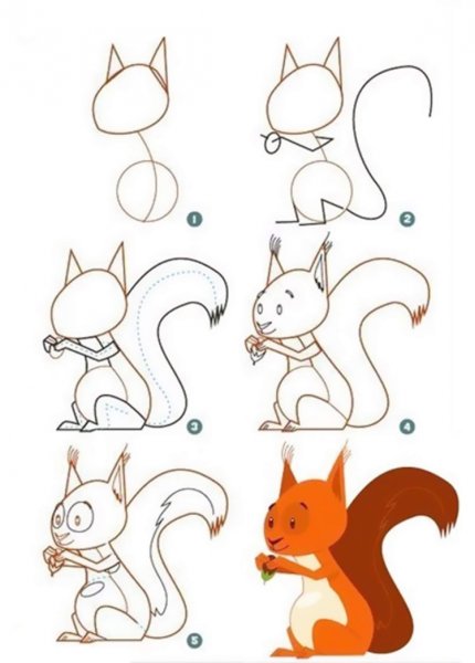 Белочка на дереве раскраска для детей