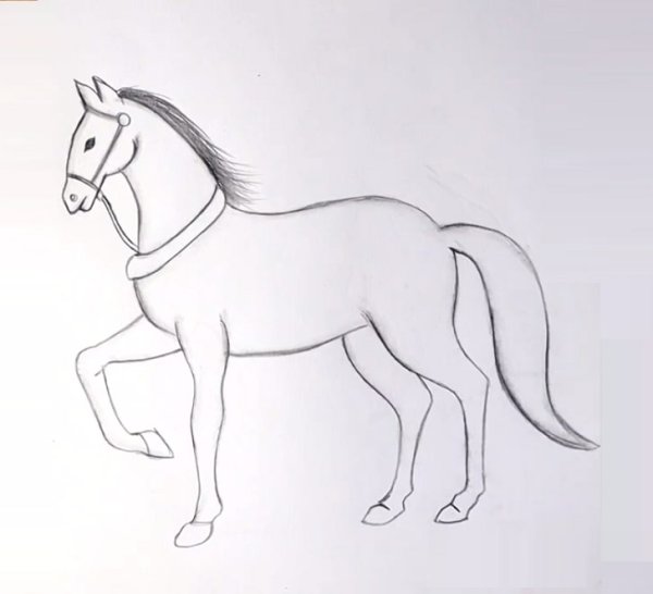 Рисунки коня легкие