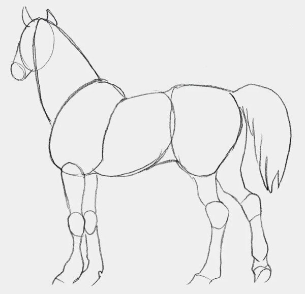 Поэтапное рисование коня