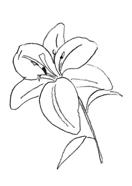 Лилия туториал