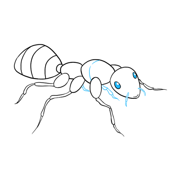 Муравей рисунок простой для срисовки
