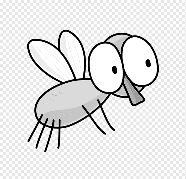 Веселая Муха