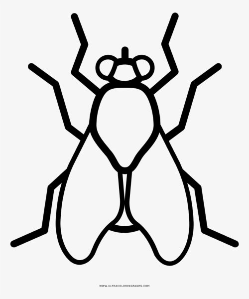 Силуэты насекомых для раскрашивания