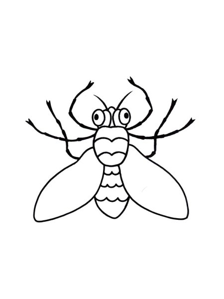 Муха картинка раскраска