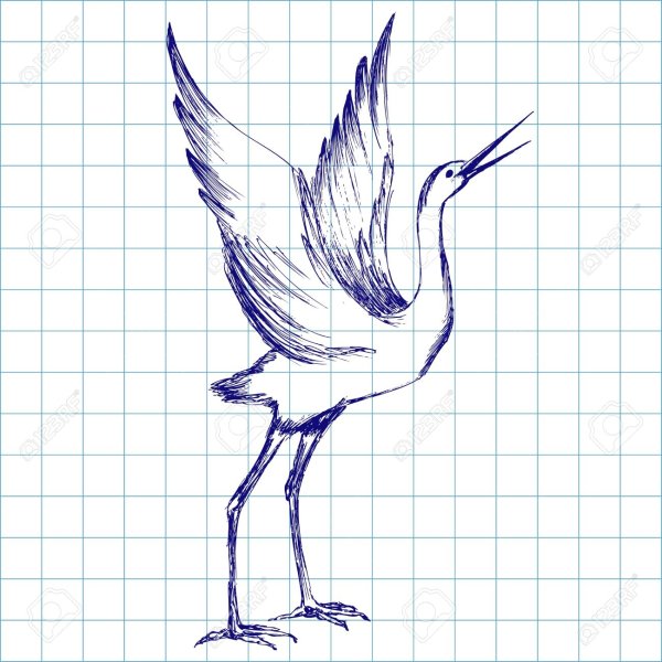 Аист карандашом