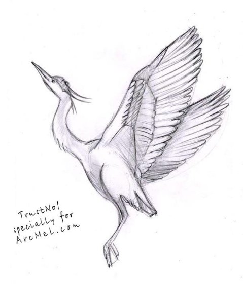 Журавлик рисунок карандашом