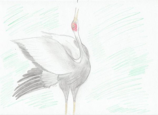 Журавль карандашом