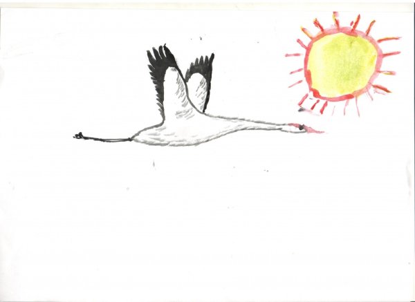 Поэтапное рисование журавля в полете