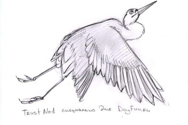 Рисунки карандашом аиста для срисовки