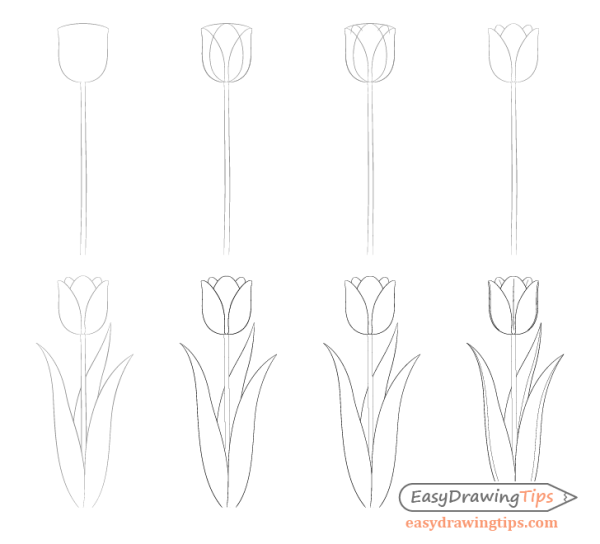 Тюльпан раскраска для детей