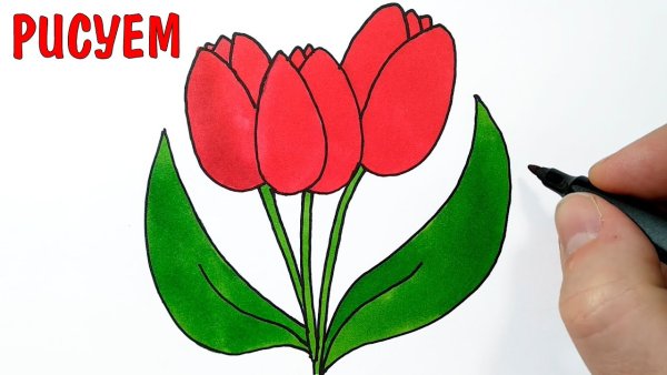 Рисование цветов для начинающих