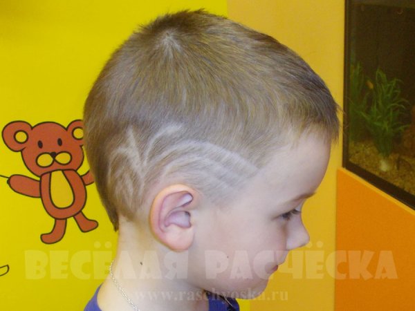 Стрижки для мальчиков с полосками