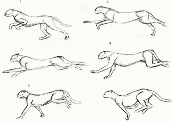 Скетчи персонажей для моделирования