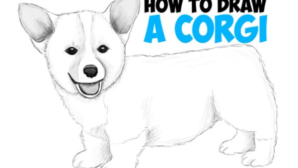 Корги карандашом для срисовки