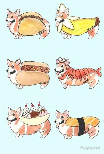 Вельш корги рисунок легкий