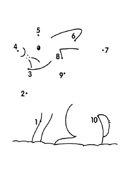 Обвести картинку по цифрам
