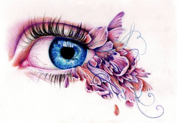 Lesley Harrison художник