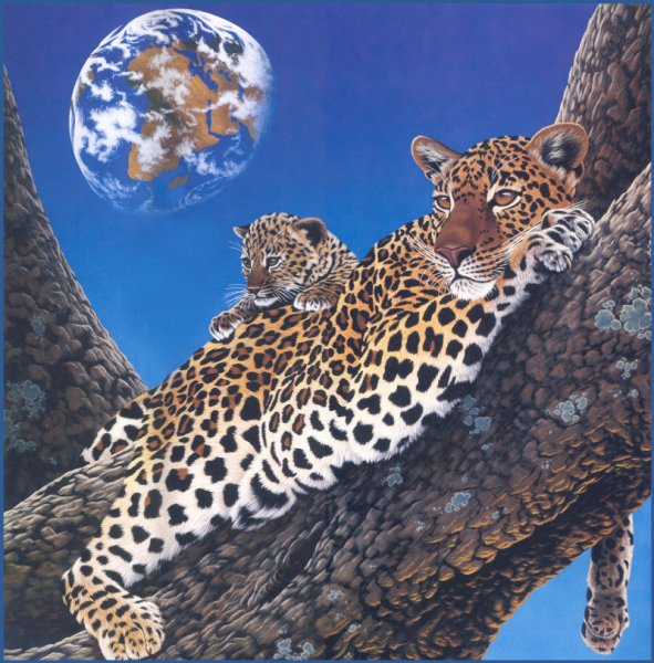 Польский художник сюрреалист Яцек Йерка