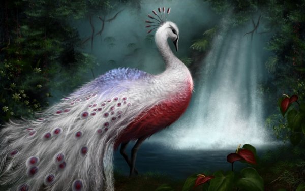 Чудеса мира