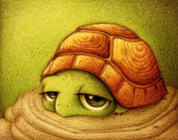 Милые рисунки животных