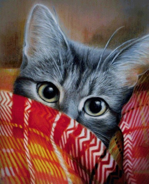 Рихардс Донскис Чеширский кот