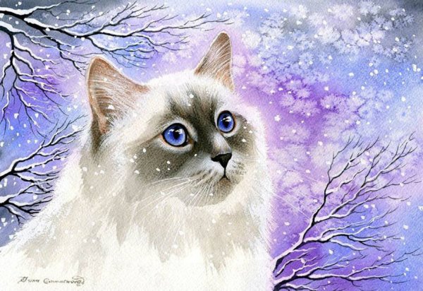 Котики котики ну разные такие магические от 7 лет можно нарисовать