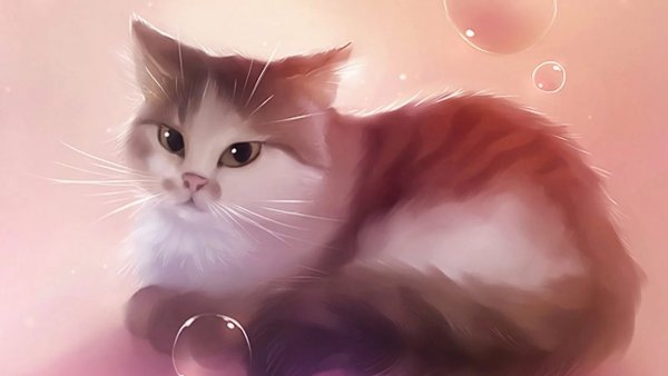 Картины Ирины Гармашовой коты