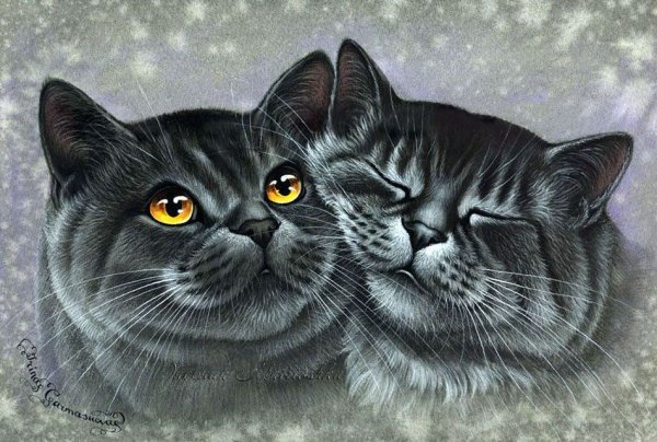 Котенок арт