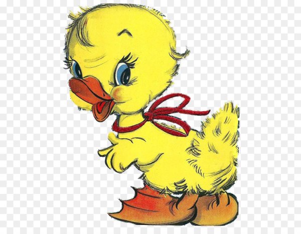 Утенок мультяшный