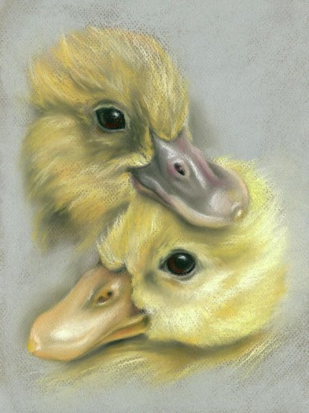 Утенок пастелью