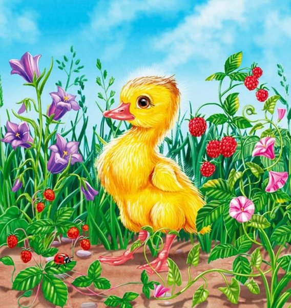 Гадкий утенок