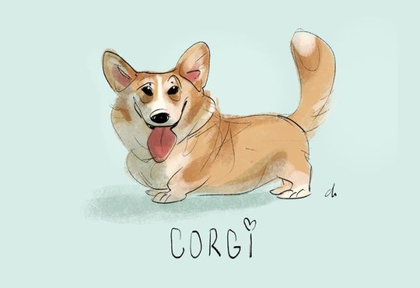 Корги шарж