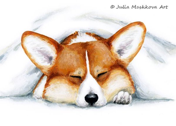 Корги Кавайи арт