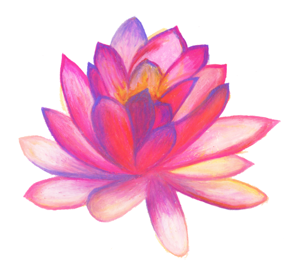 Цветы рисунок