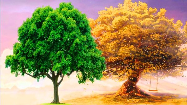 Дерево для рисования