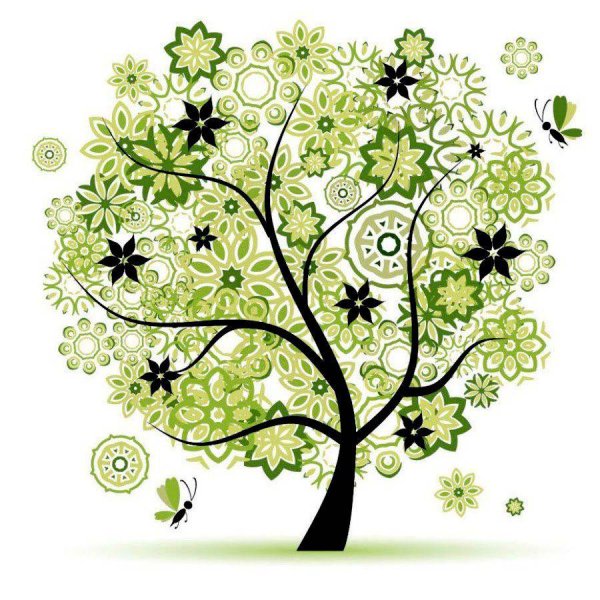 Дерево на прозрачном фоне