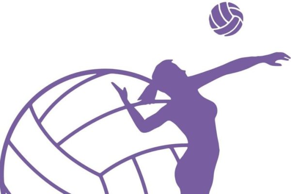 Волейбол мультяшный