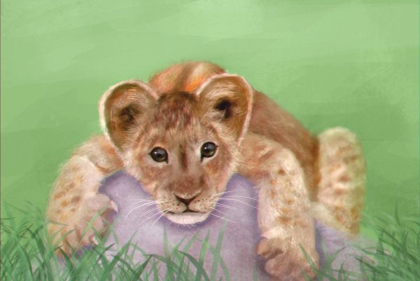 Львенок фон