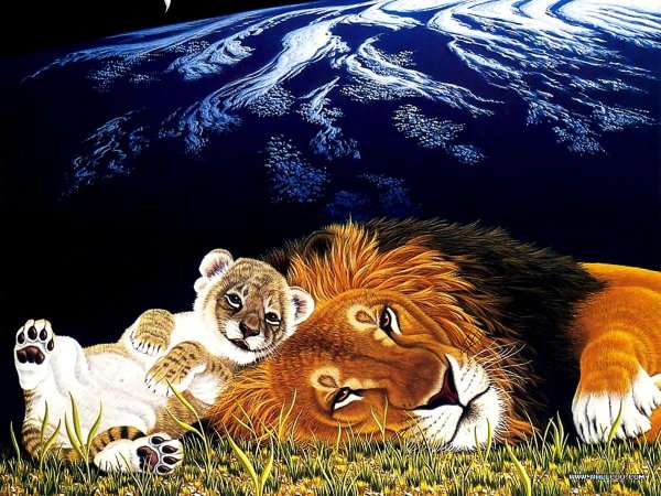 Уильям Шиммель младший львы