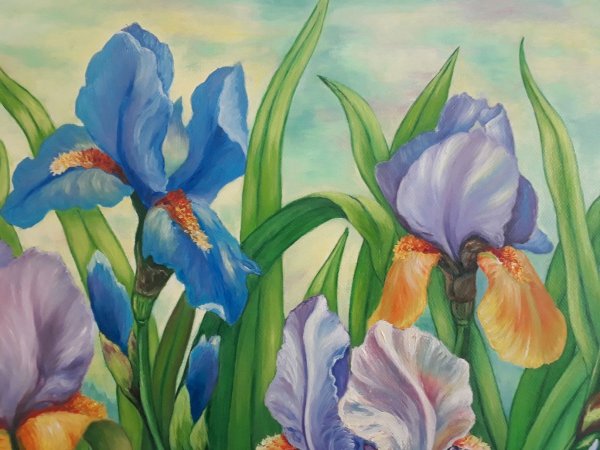 Дэрил Тротт ирисы