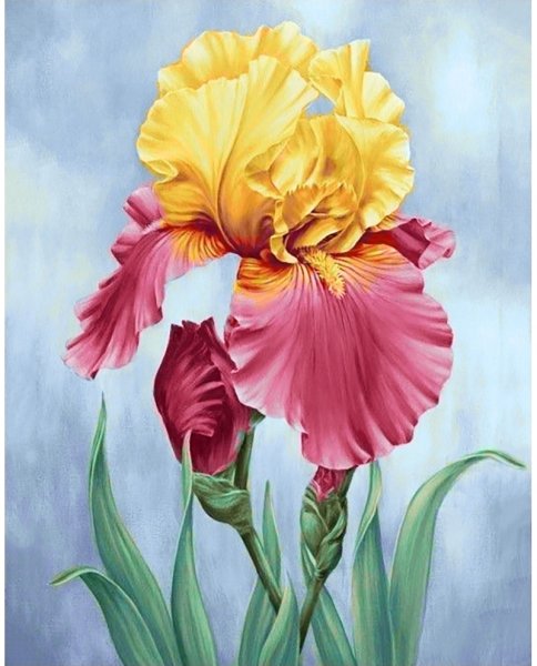 Алмазная мозаика Гранни Ирис