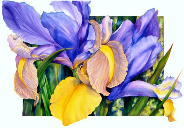 Робертсон Дэвис ирисы