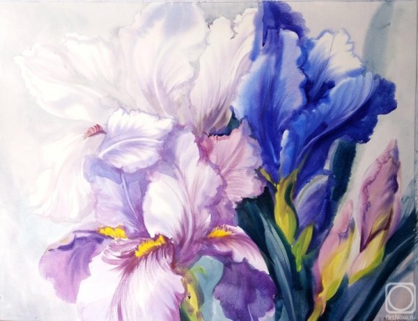 Художник Жак Абейле ирисы