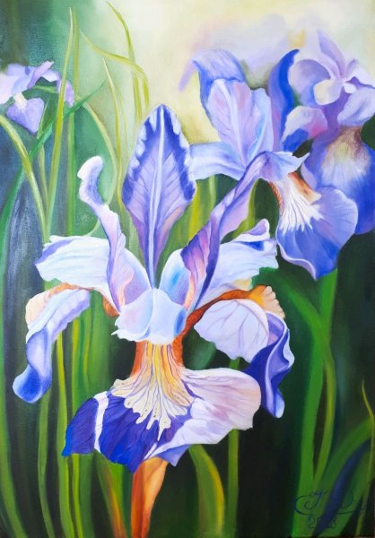 Картины Виктория Кирьянова ирисы