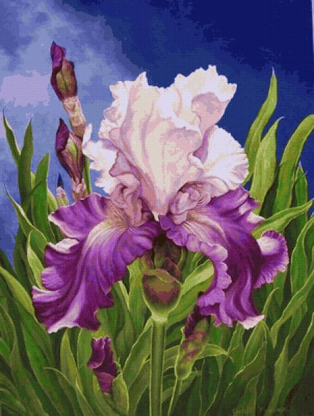 Ирисы художница Marianne Broome