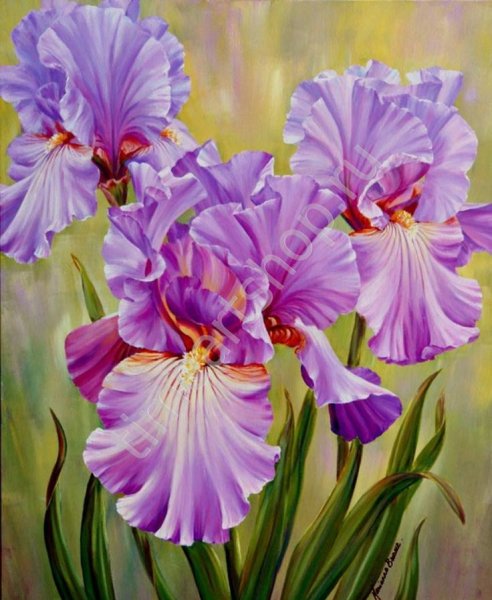 Marianne Broome акриловая живопись