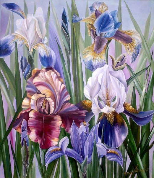 Кристофер Райланд ирисы