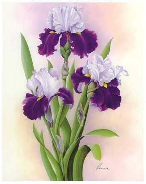Ирисы для декупажа
