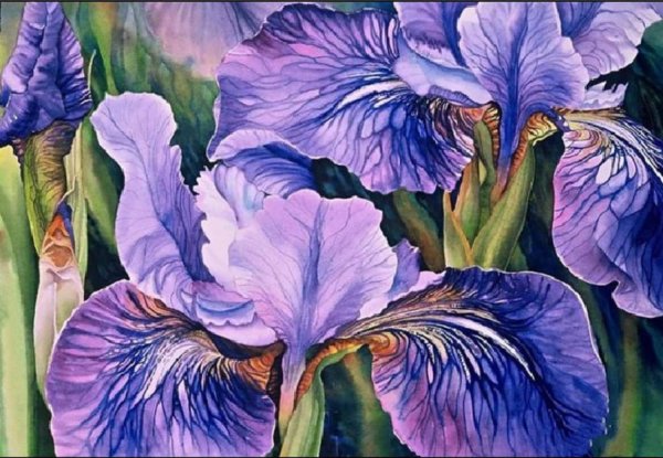 Акварели Marney Ward (Марни Вард) художник